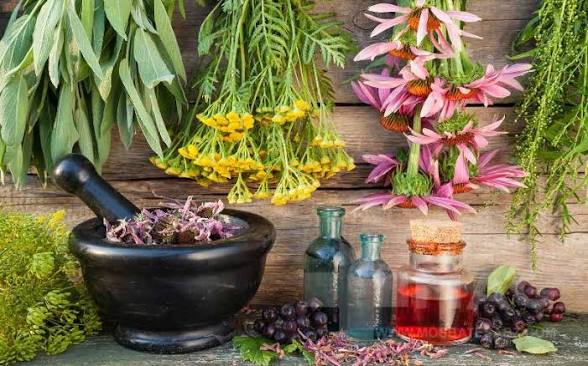دمنوش های گیاهی 